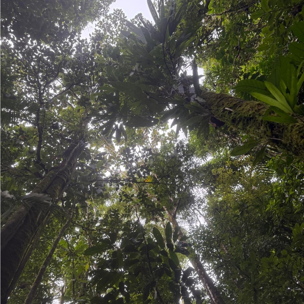 Meet your Posher, Ally